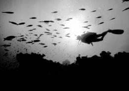 懂大海的个人资料,一位海洋知识探索者的成长足迹